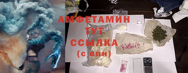 стаф Алзамай