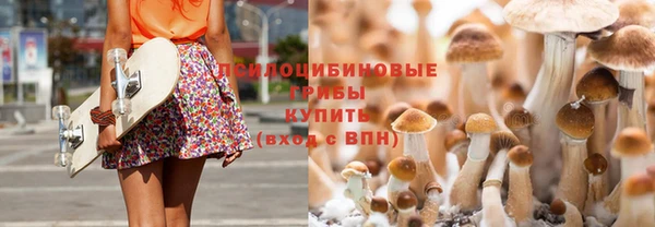 стаф Алзамай