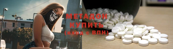 стаф Алзамай
