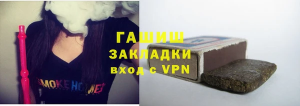 стаф Алзамай