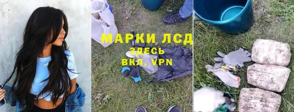ПСИЛОЦИБИНОВЫЕ ГРИБЫ Алексин