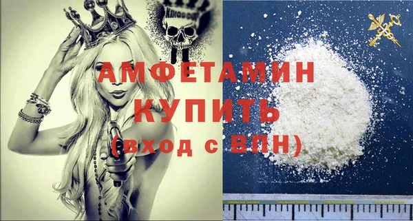 стаф Алзамай