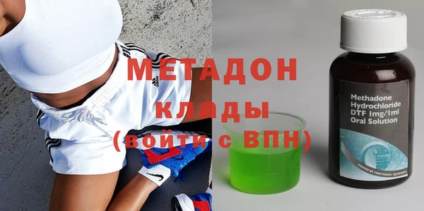 стаф Алзамай